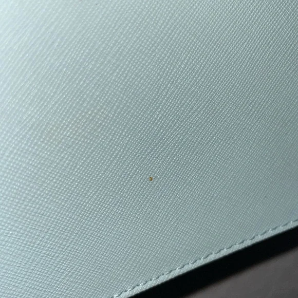 Rebecca Minkoff Light Mint Crossbody - Picture 3 of 5